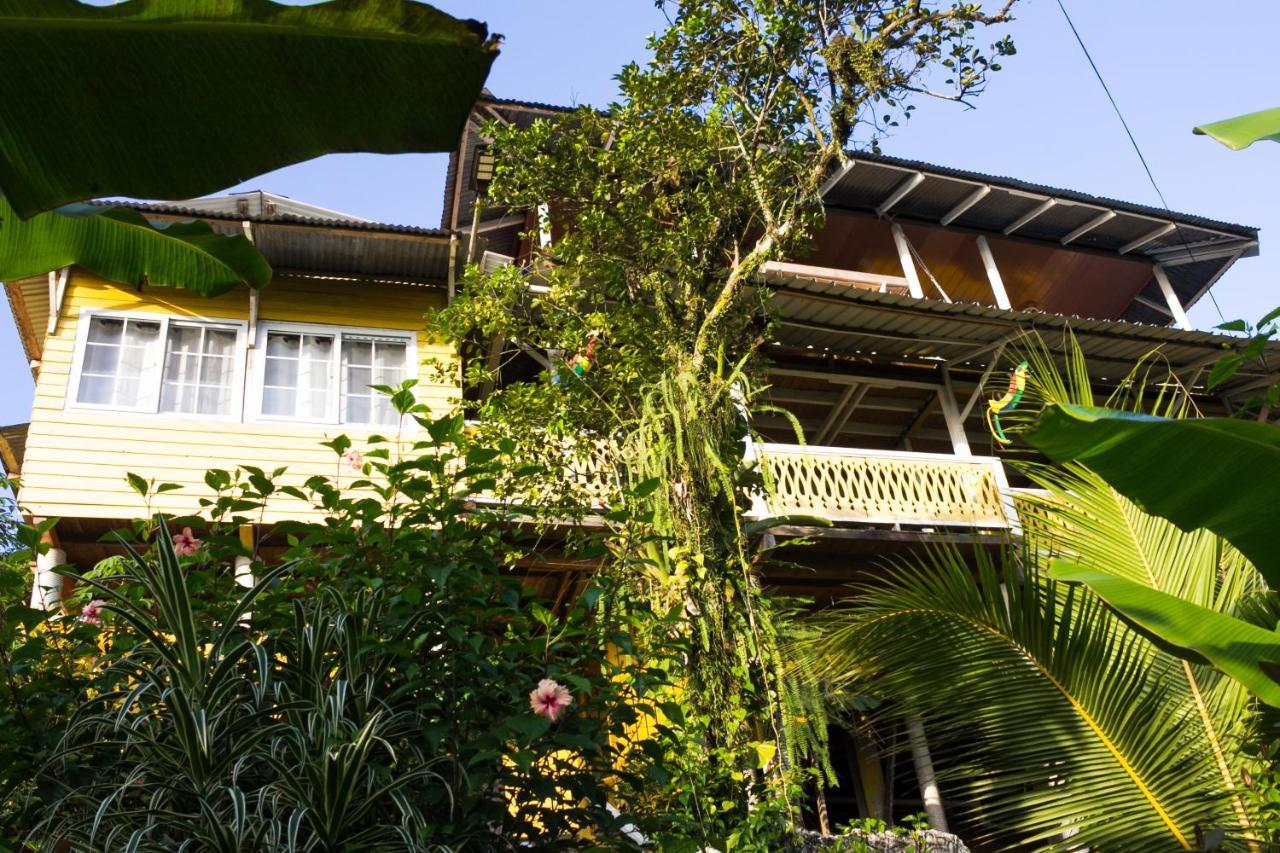 Bastimentos Hill Guest House Bocas Town Kültér fotó