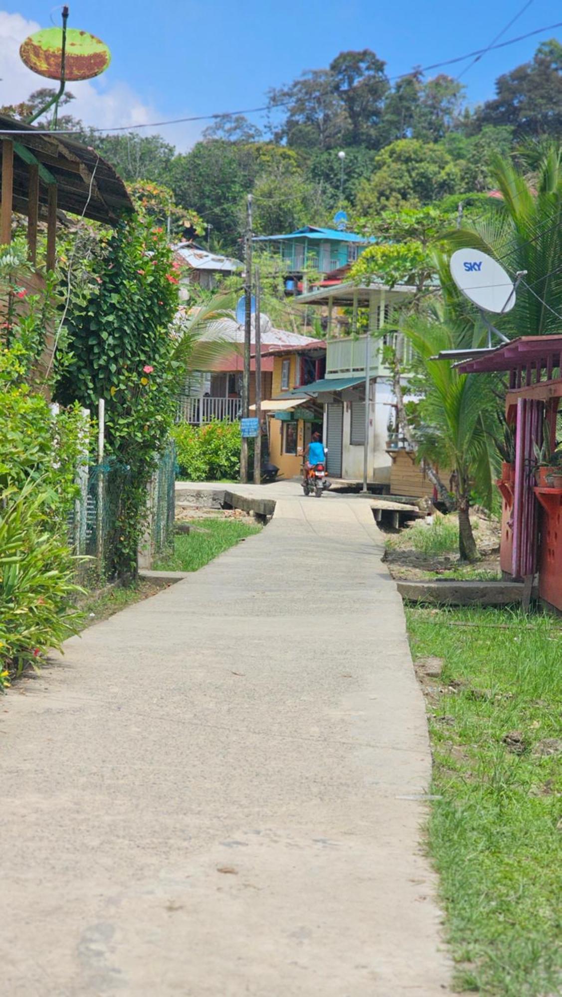 Bastimentos Hill Guest House Bocas Town Kültér fotó